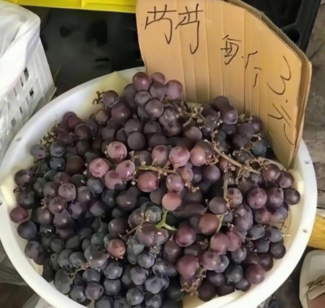 老板，咱们能不能换成拼音？这样我们看不懂。 