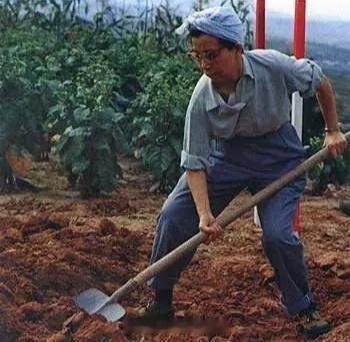 1975年9月和1976年9月，李进同志两次来到了大寨，不怕苦不怕累，以身作则积