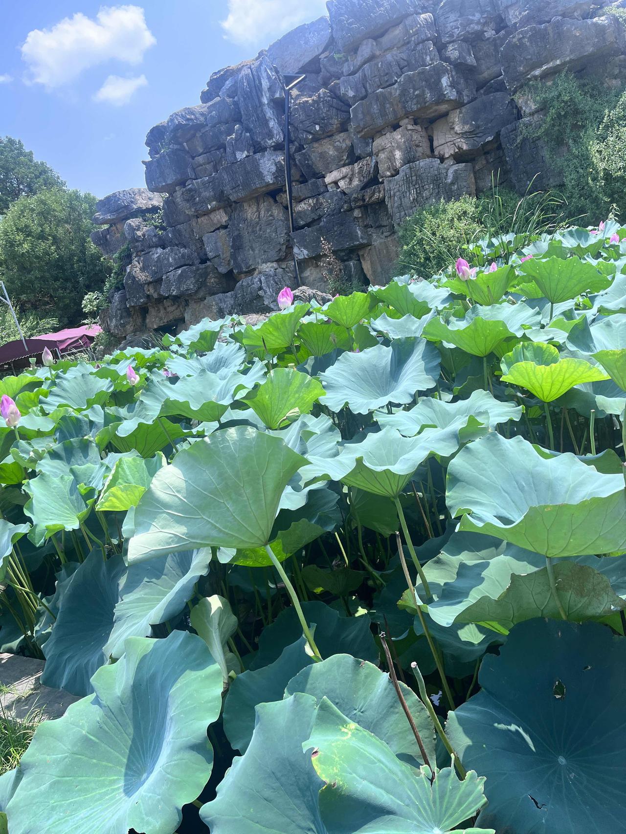 “小时候总以为______，长大后才发现根本不是这样！”

比如我小时候坚信“只