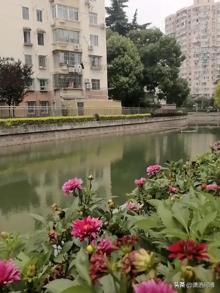 看见网上一个视频，一个年轻的博主说自己生在穷山恶水的地方，抱怨父母为什么不把自己