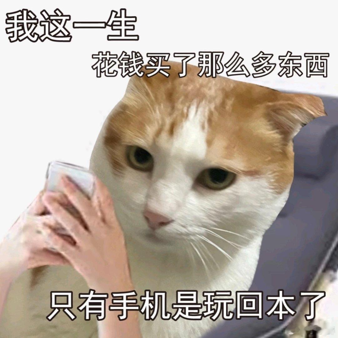 冬天不用掏手机了冬天寒风凛冽，掏手机成了“勇气挑战”！现在好了，有了这装备，冬天