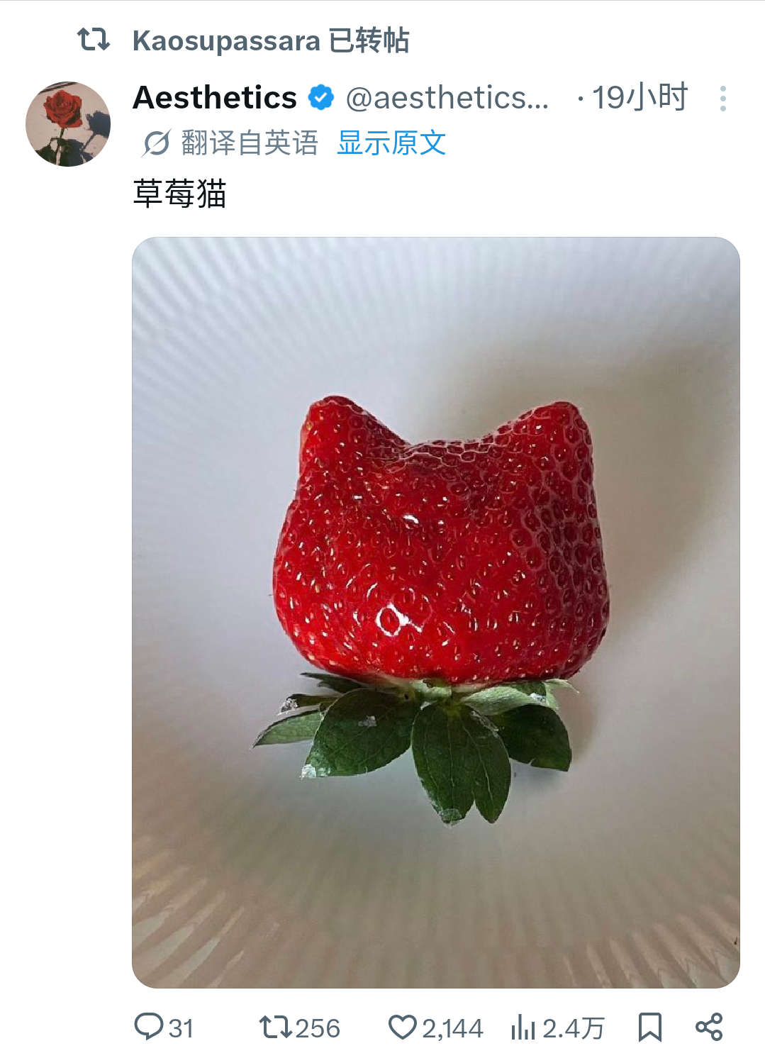我们小女孩就爱转点这些 