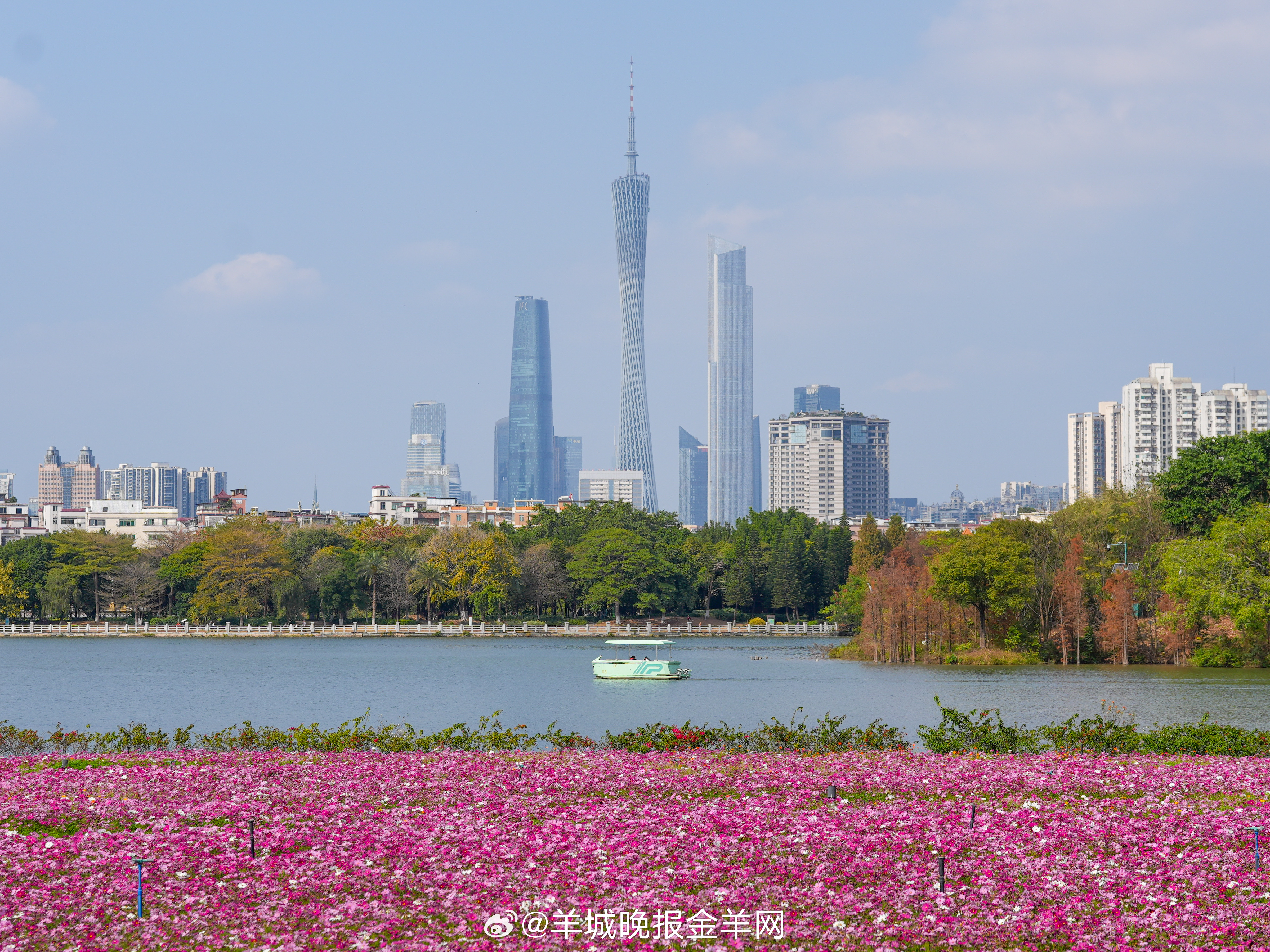 #早安#接纳生活的阴晴圆缺。正是这些经历，塑造了我们独特的纹理与坚韧的内在，让生