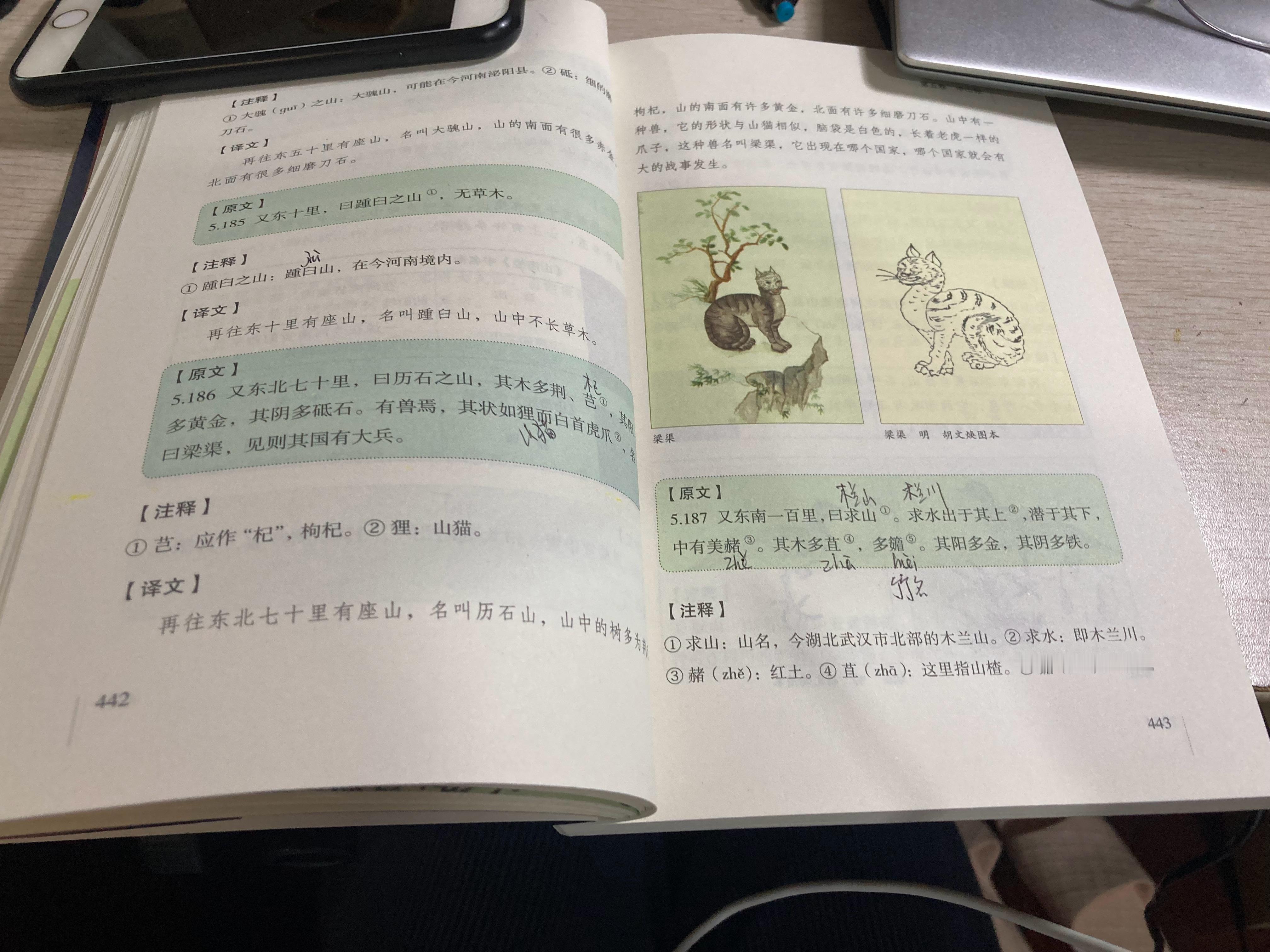 #杨紫国色芳华##特别陪伴杨紫何惟芳160天# 读书打卡102天最近总是过了凌晨