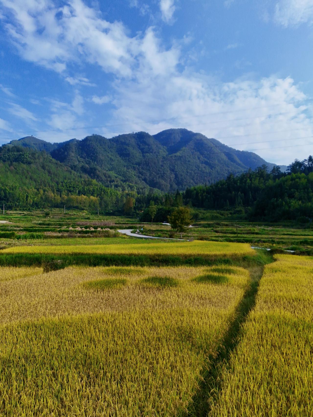 今天接待了一位求真的初三的学生家长，孩子学习成绩蛮好的，不过离目标学校还是有一段