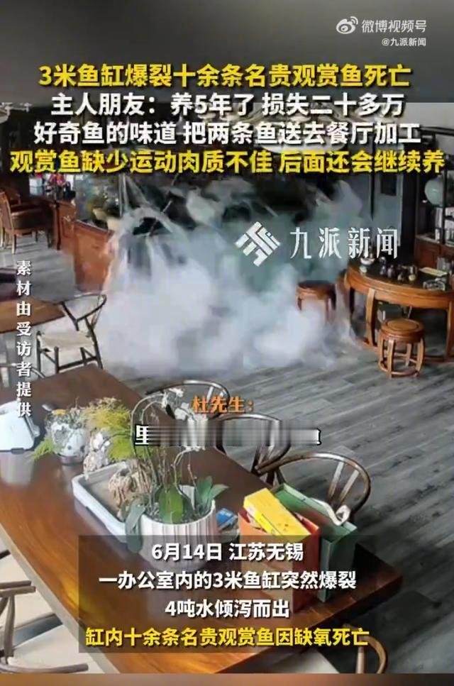 鱼主人好友回应11条观赏鱼死亡【3米鱼缸爆裂致11条观赏鱼死亡，知情人发声：养了