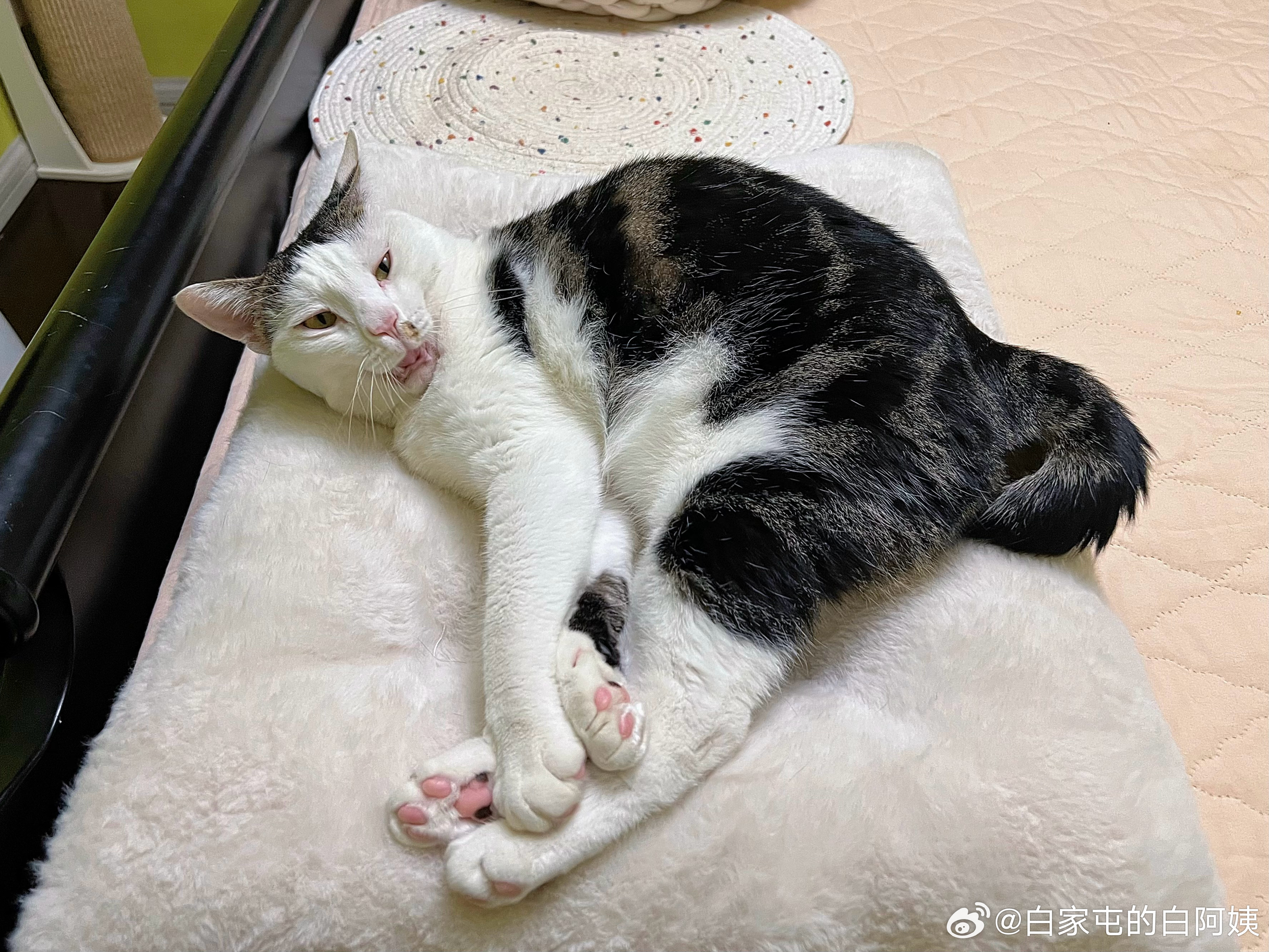 我儿这张照片包丑的！亲妈都夸不出口的程度… ​​​