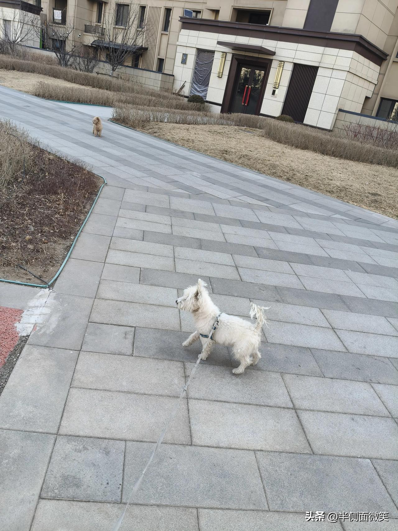 直击赛场球员们奋力拼抢