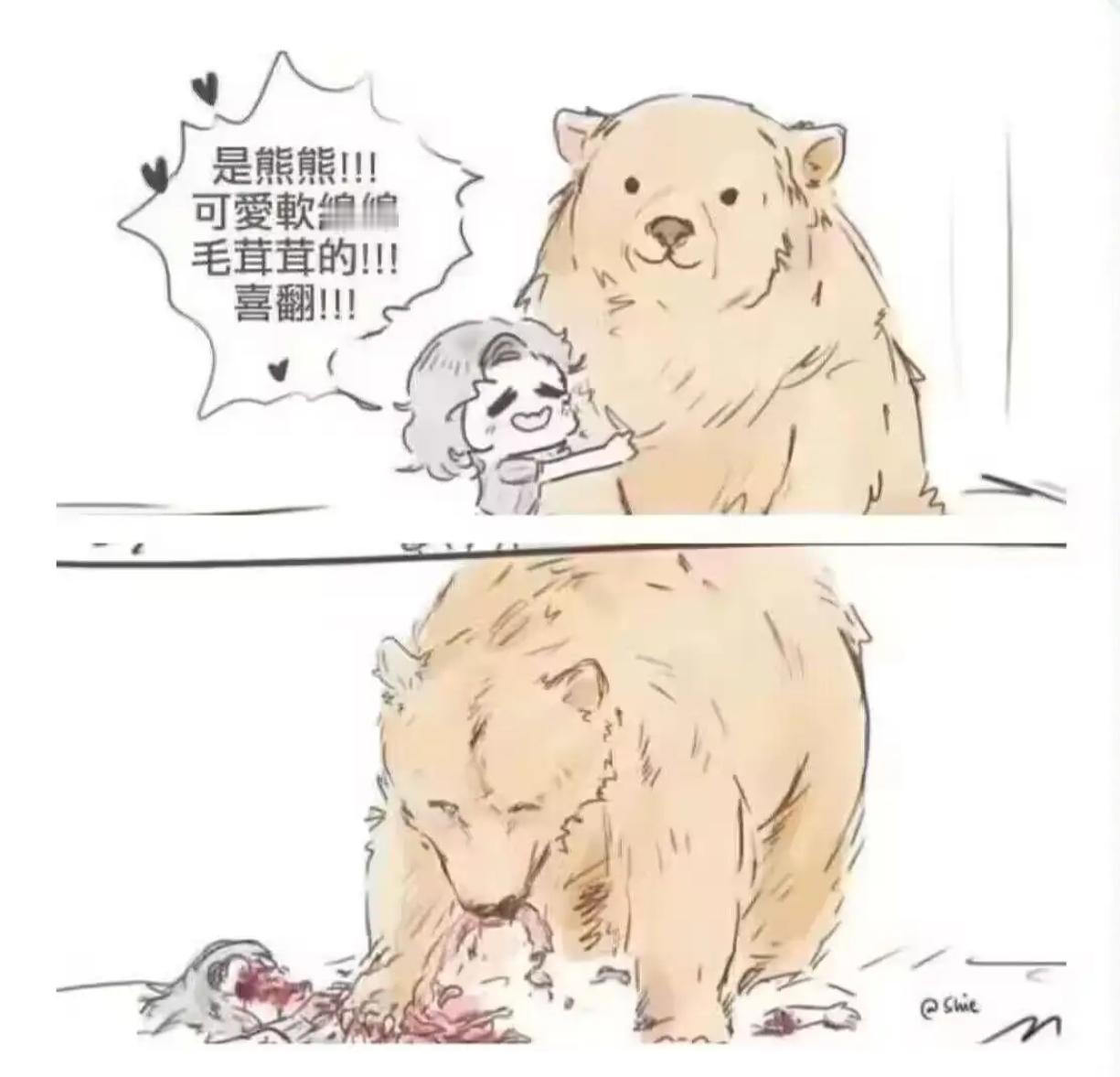 小熊饼干 ​​​
