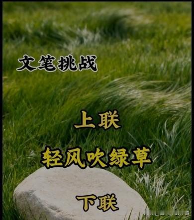 轻风吹绿草
小雨点蜻蜓