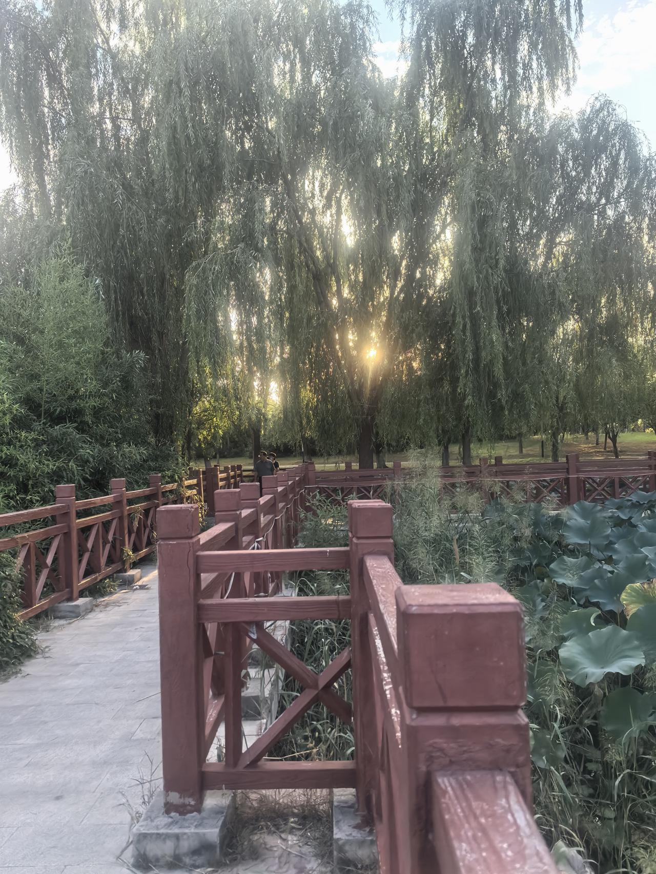 刚刚我在公园最隐蔽的一角，看到了最隐蔽的一幕。当我走近时，听到了里面的声音，便知