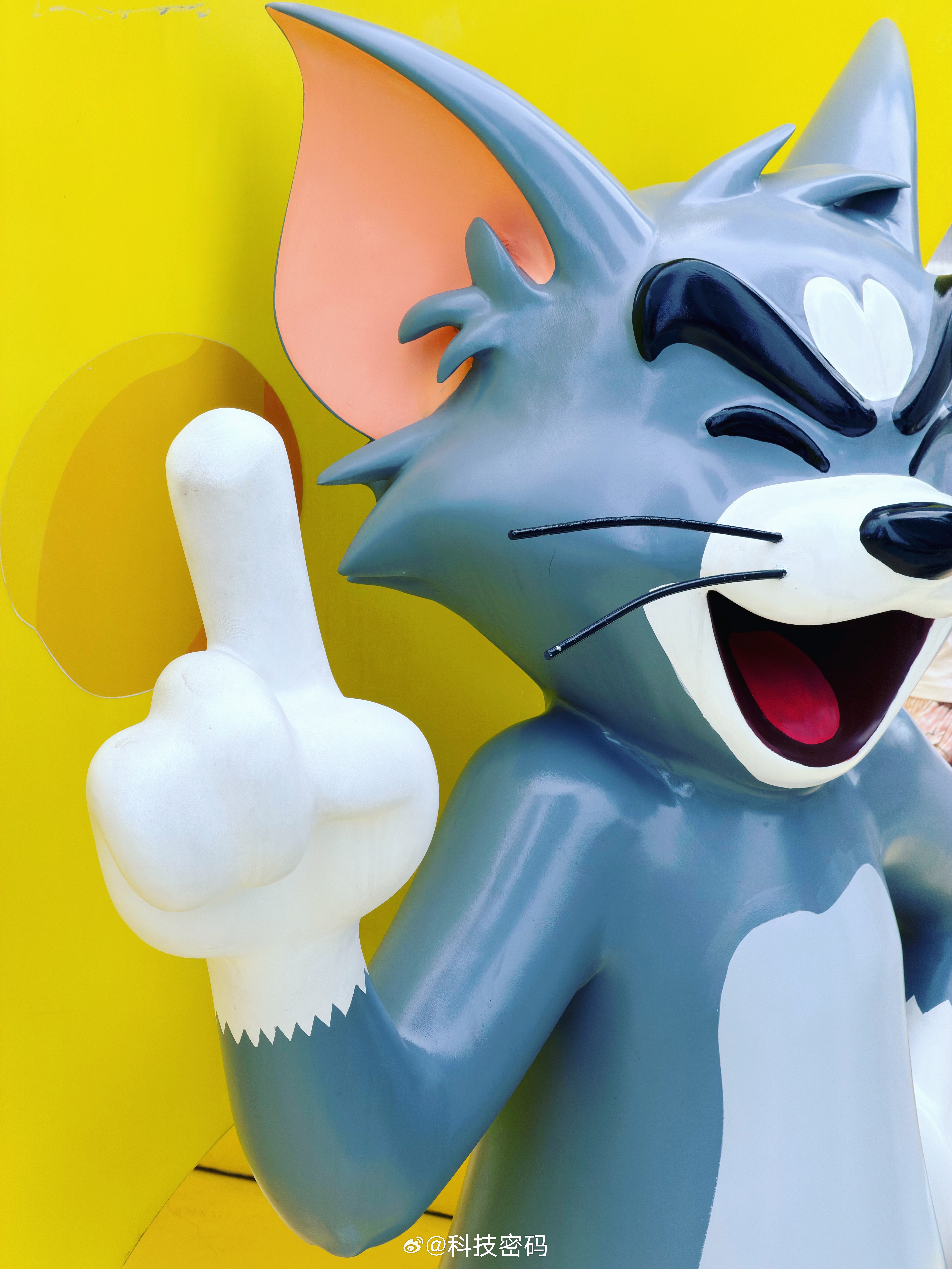 偶遇猫和老鼠🐭，Tom and Jerry 