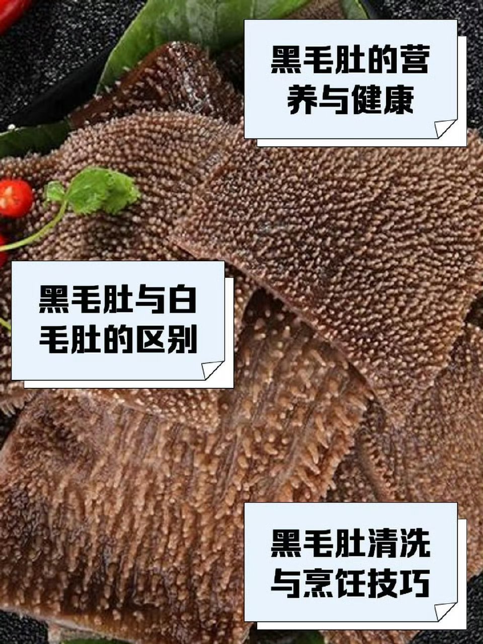 中国一年吃掉5亿斤毛肚震惊老外 毛肚是牛胃的瓣胃部分，是高蛋白低卡的美食，富含蛋