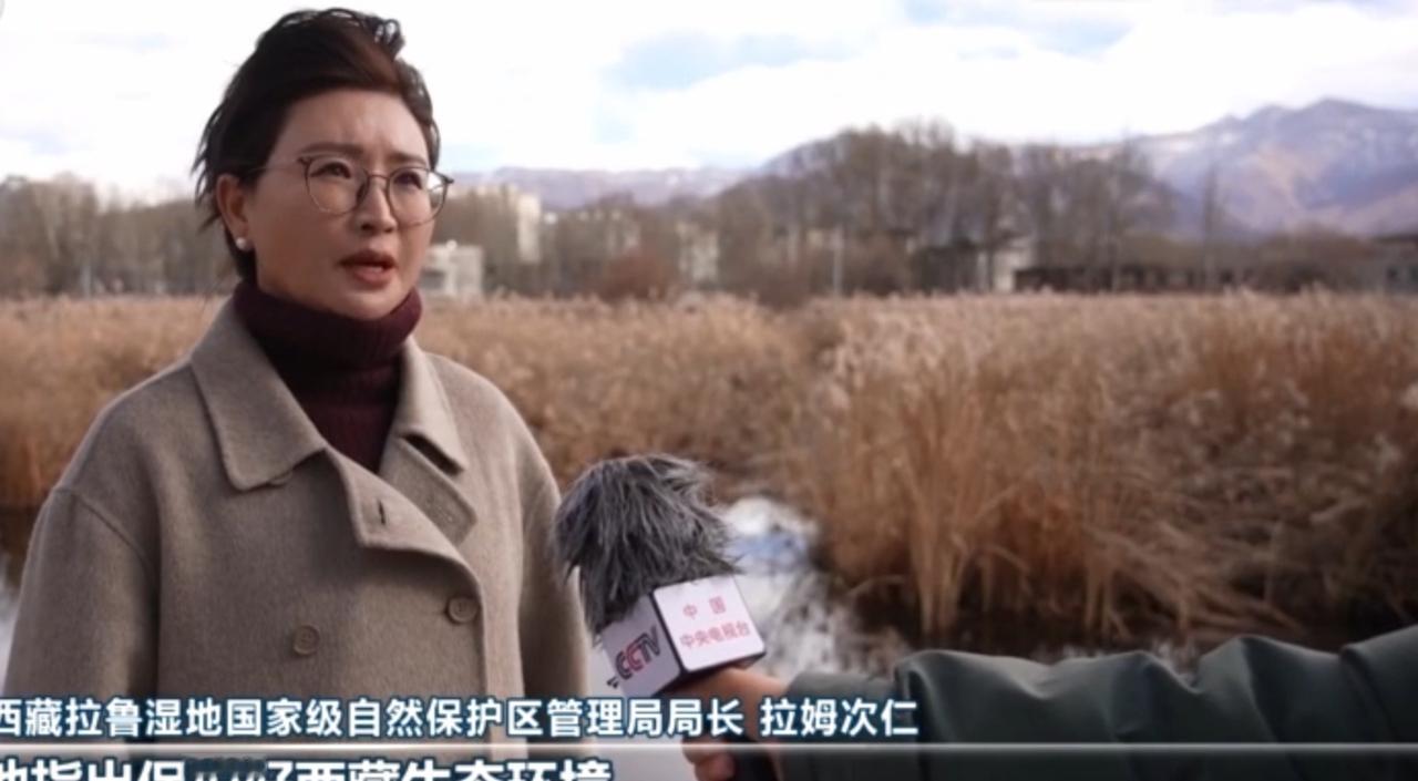 在西藏拉鲁湿地，拉姆次仁与团队守护着这片高原的“生态绿肺”。湿地里的水域如镜，候