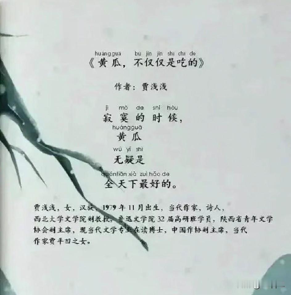 【贾副教授这事，让我想起浅浅的那首《黄瓜》】

西北大学的通报读了三遍，越读越觉