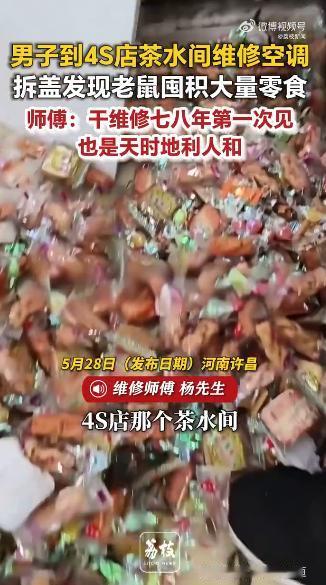河南许昌，一家4S店的茶水间空调出了故障，拆开外壳后当场看呆了，里面成了老鼠的"