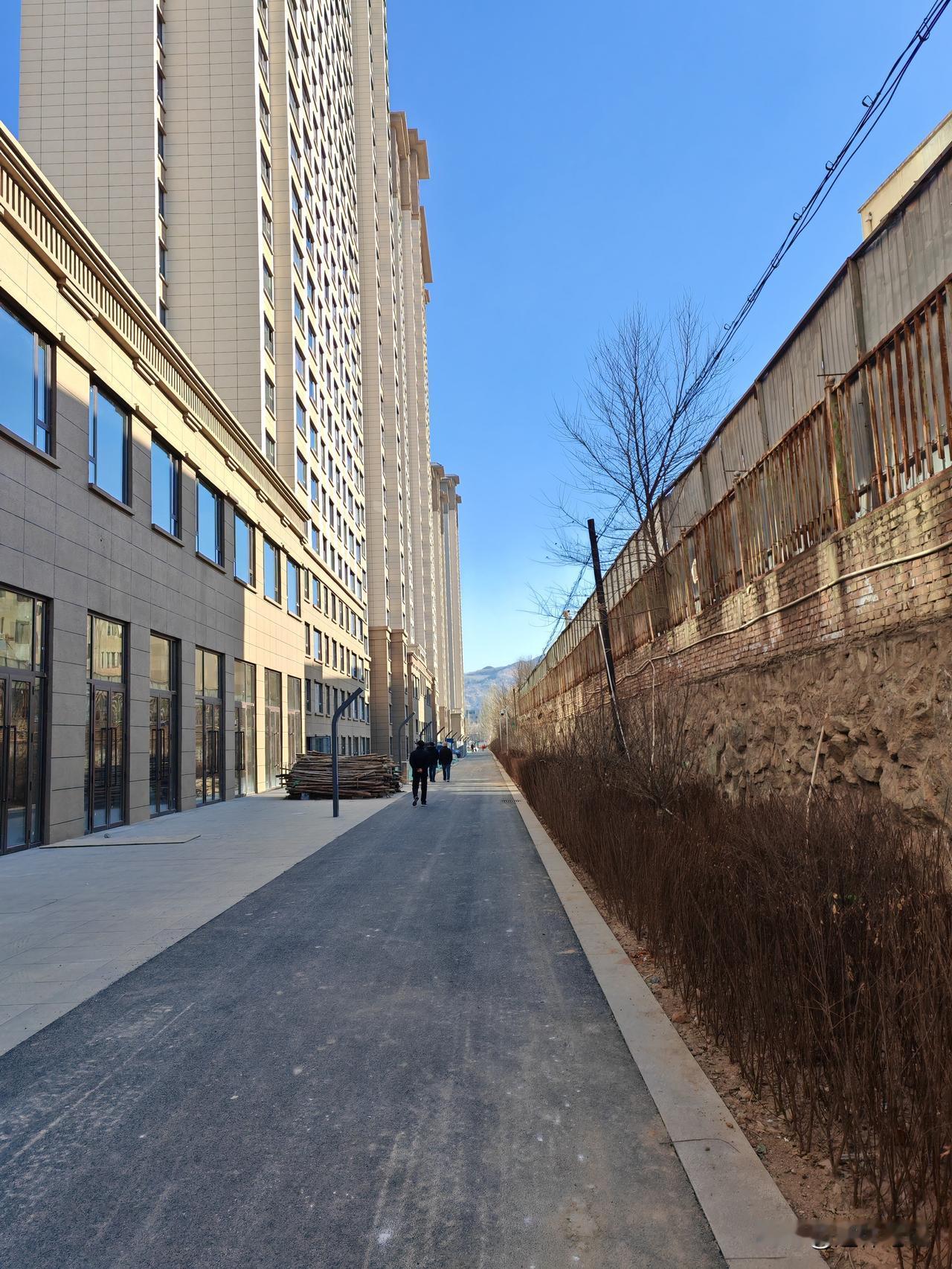 当然是越早交社保越划算，因为越早交社保的话，实际上自己的累计缴费年限相对来说也就