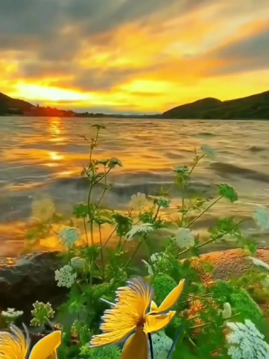 漫步在花海的世界里，感受春天的气息与浪漫。看美景赏花海 看景赏花的心情