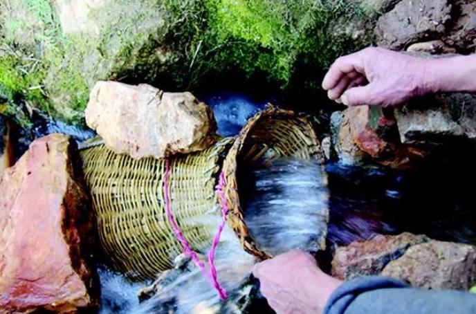 湖北山村的神奇山洞，每年清明自动“吐”出上万斤鱼？专家赶到后为何说这鱼不能吃？