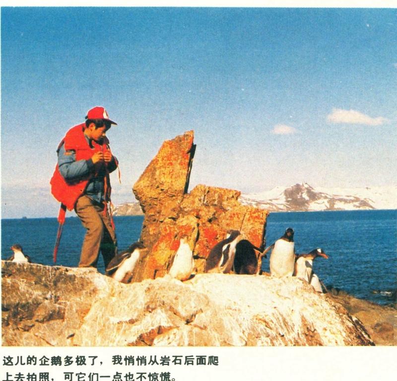 南极游价格大跳水啦！以前要20万，贵得让人根本不敢想，现在5万就能去。社交平台上
