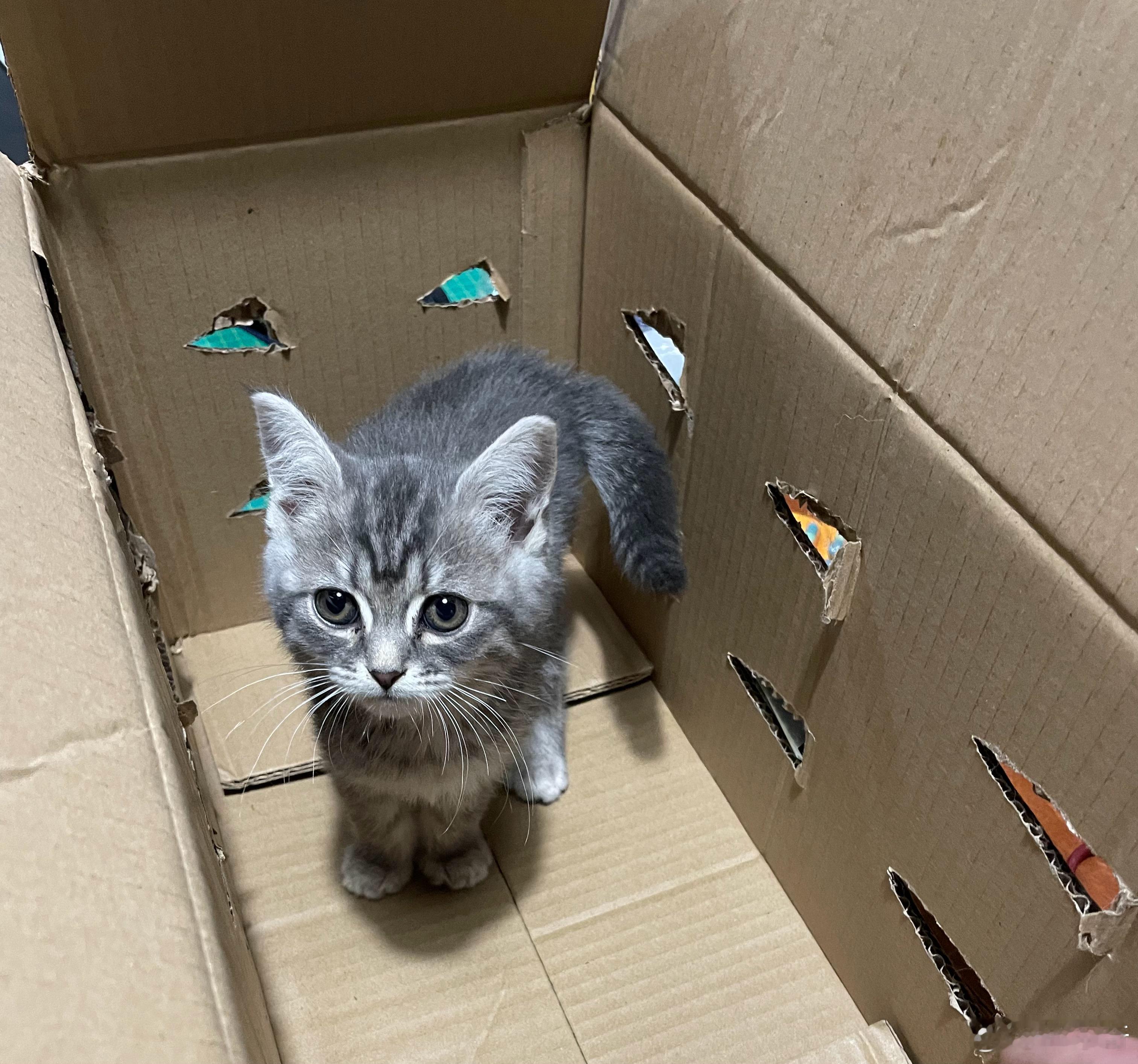小时候和现在的样子对比一下🐱🐱 ​​​