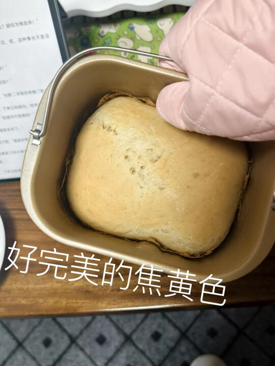 呀吼我会烤面包啦