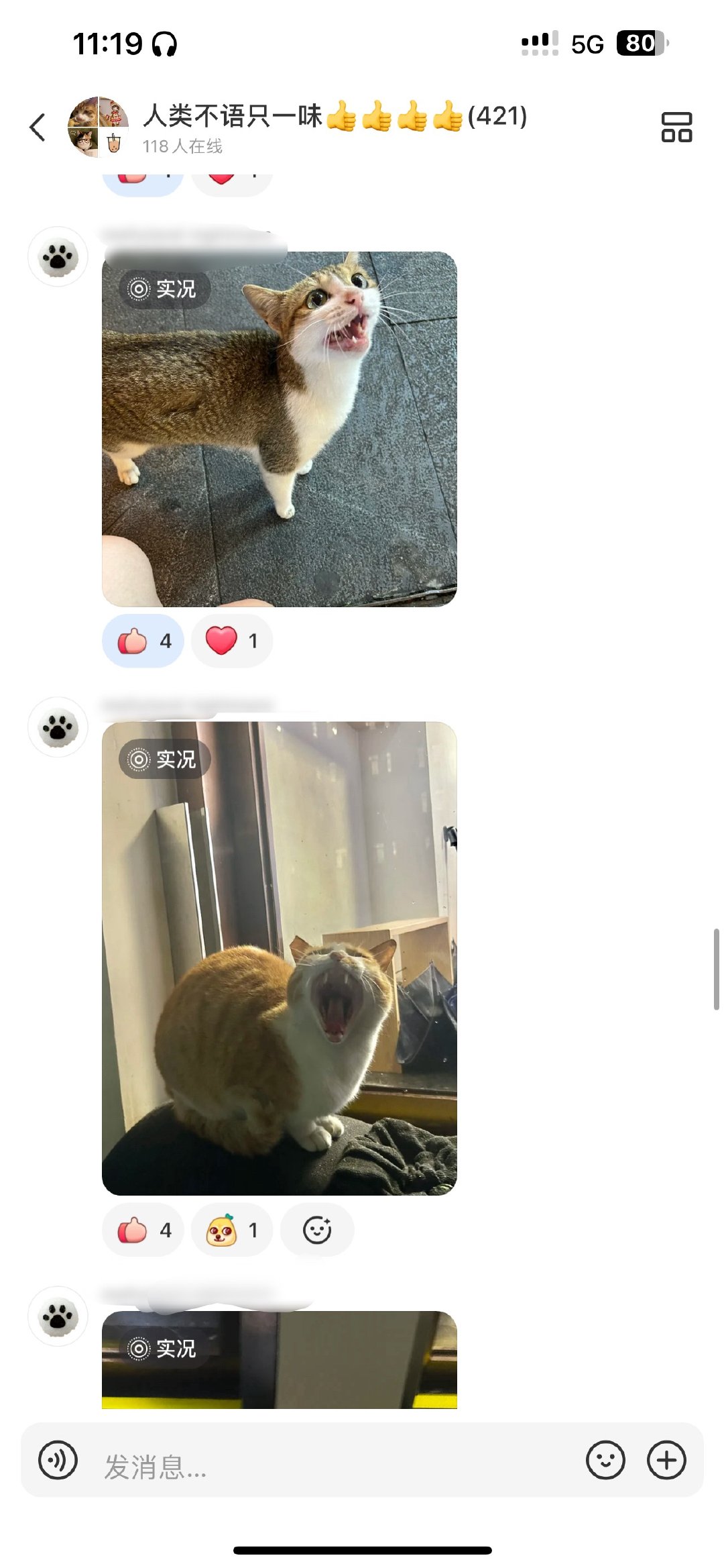 笑死我了在xhs加了个只发猫不说话的群我每天就这样品鉴各种猫儿点赞之 ​​​