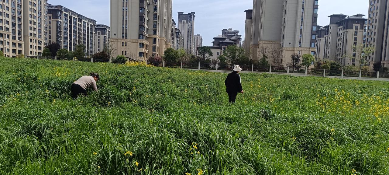 上世纪80年代，邵宝玲可是义乌“万元户军团”里的先锋队员，后来她创办了箱包企业，