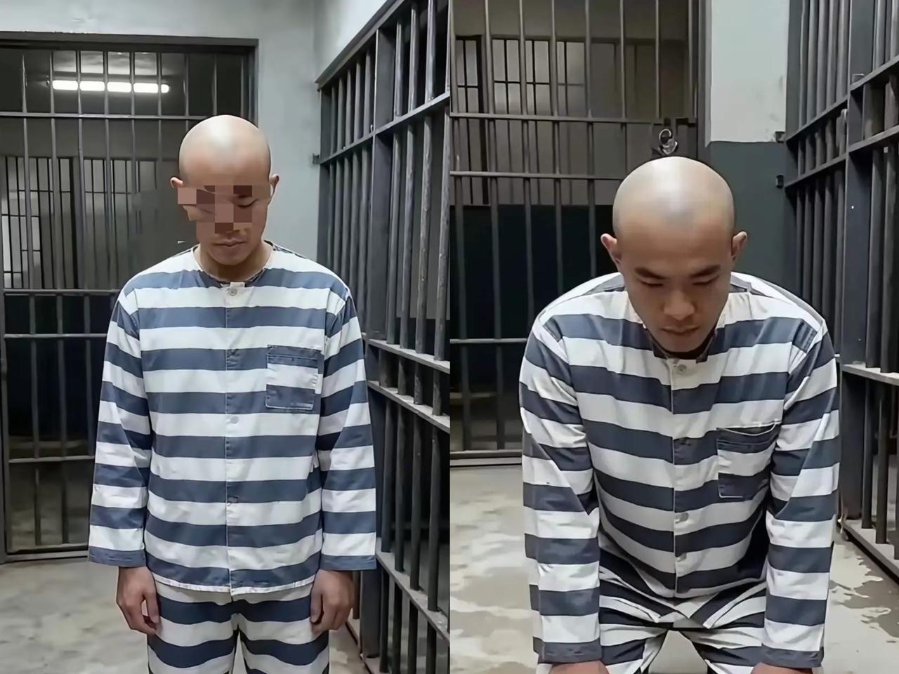 家人们惊掉下巴了！金毛急得大哭，他家准备上诉到处找人，可根本没人愿意接。10天上