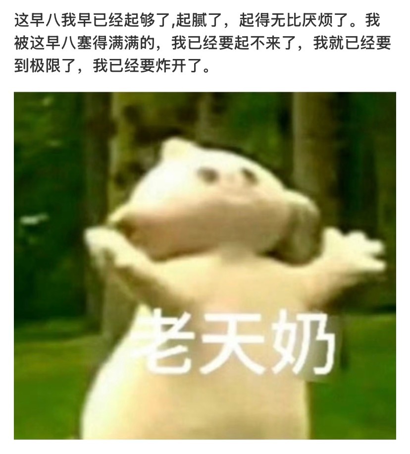 早上好呀早八人