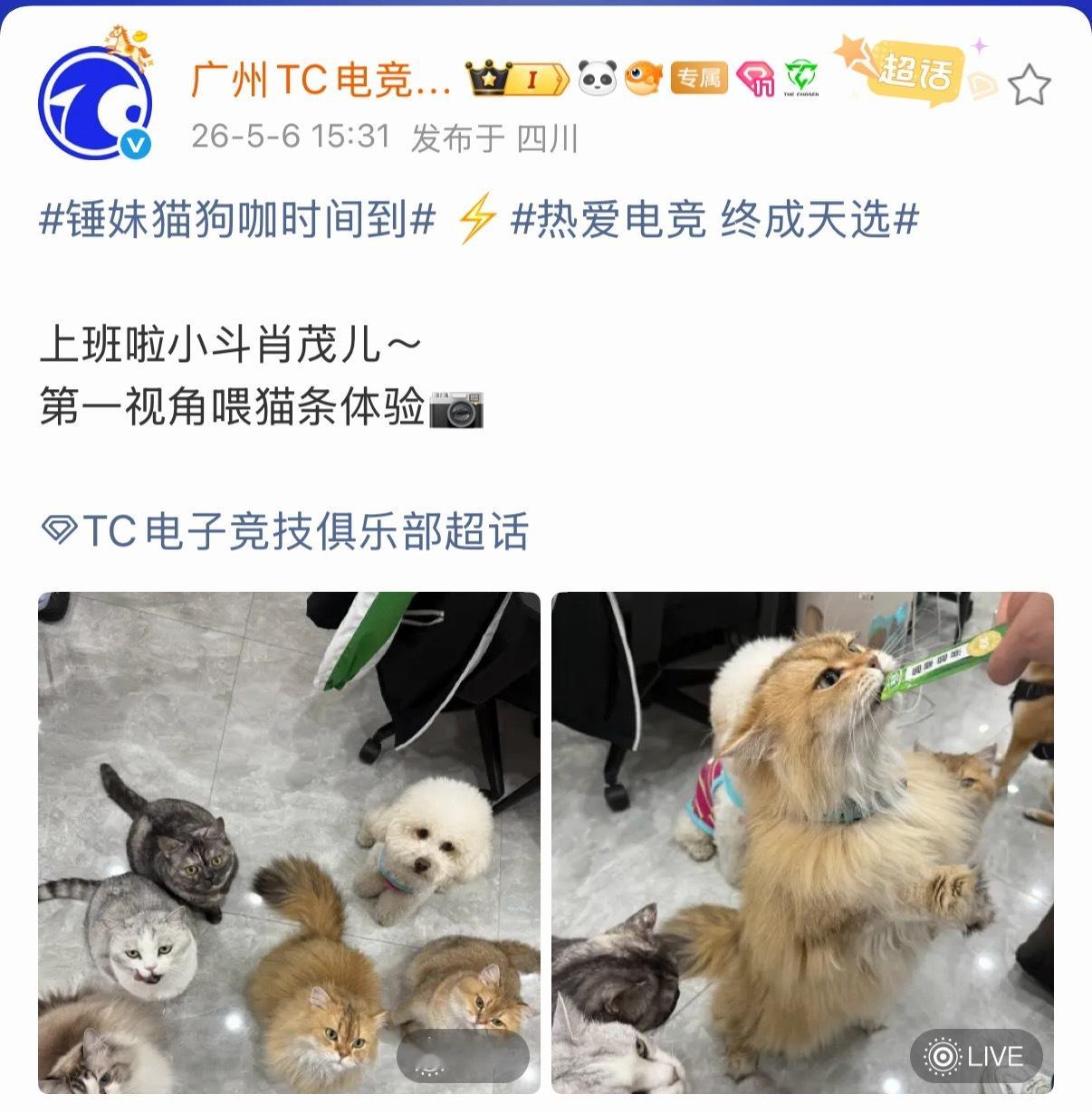 TC电子竞技俱乐部  好想去急头白脸的味一只！2026pel