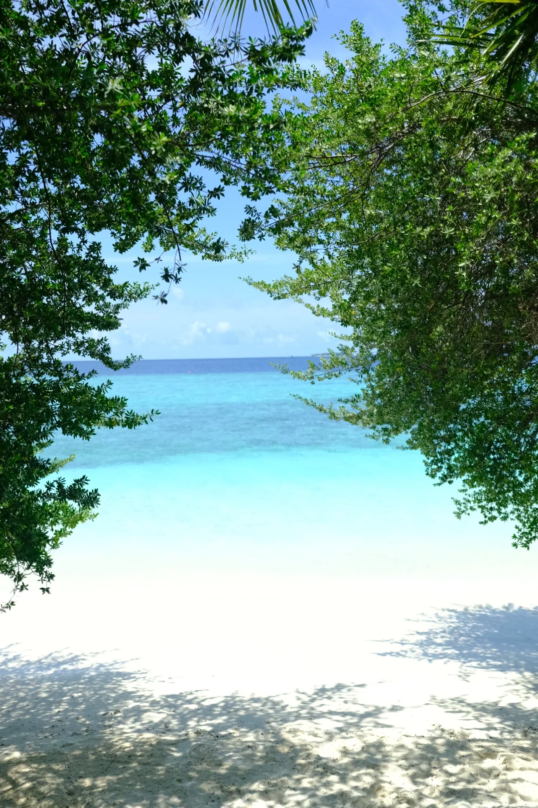 丛林风海岛穿搭｜马代一半森林一半海🇲🇻