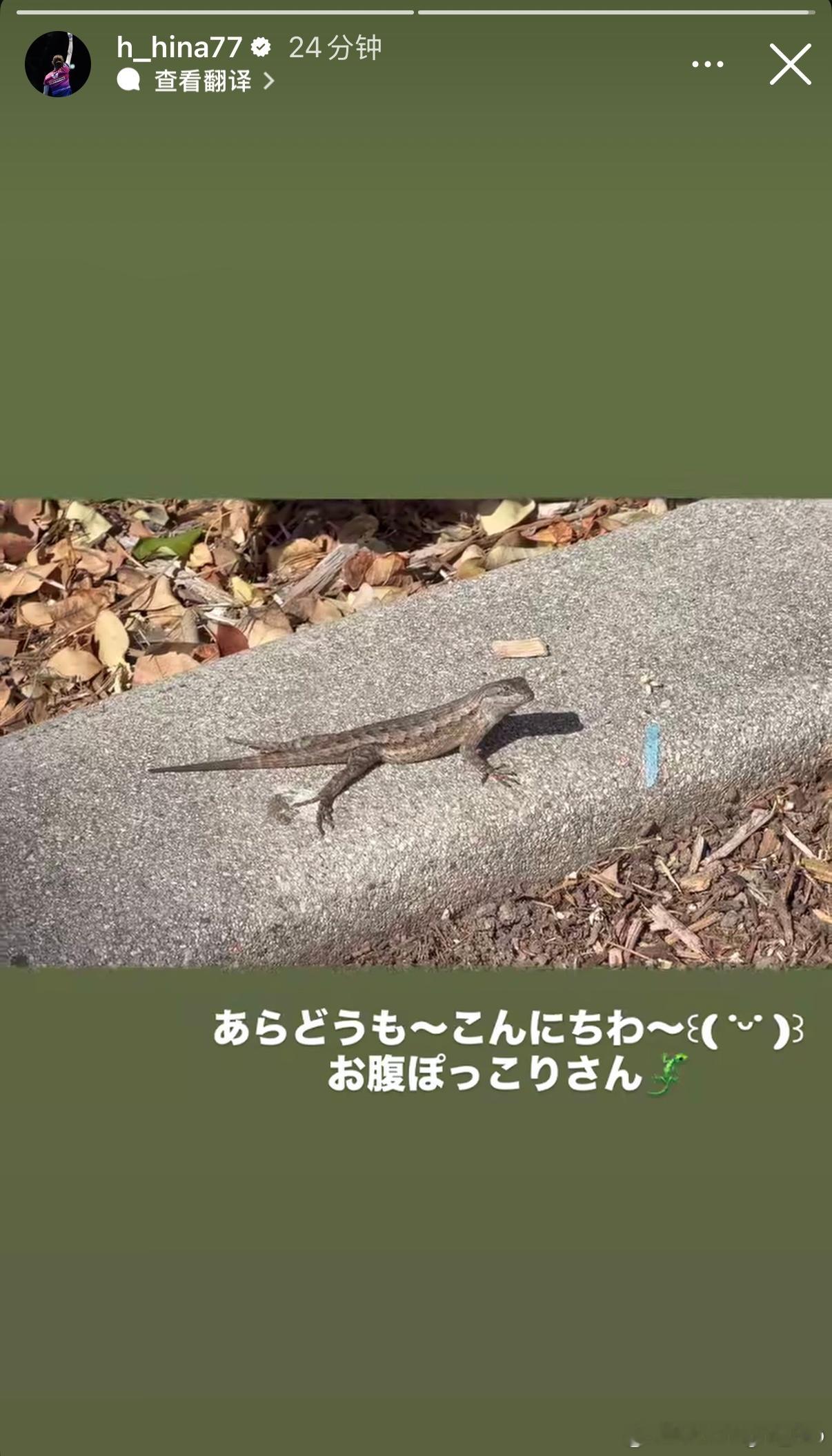 早田希娜：美国大满贯感谢您一直支持到深夜🇺🇸单打8强，双打亚军，结果很悔恨，
