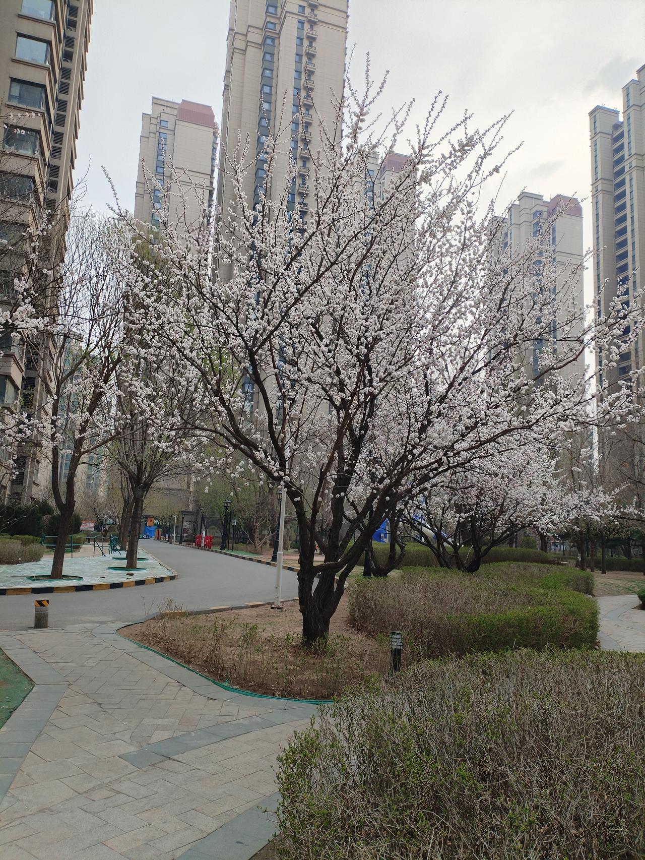 一切靠自己，你能做到吗真正的靠自己不是拒绝所有帮助，而是拥有选择权，我可以合作，