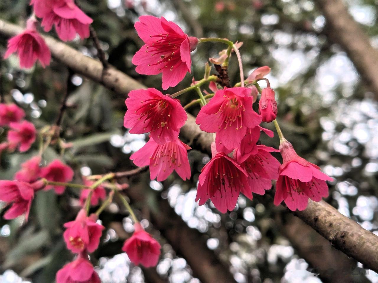 清清楚楚不清楚
糊糊涂涂不糊涂

“清清楚楚”本是一种明晰的状态，可后面接上“不