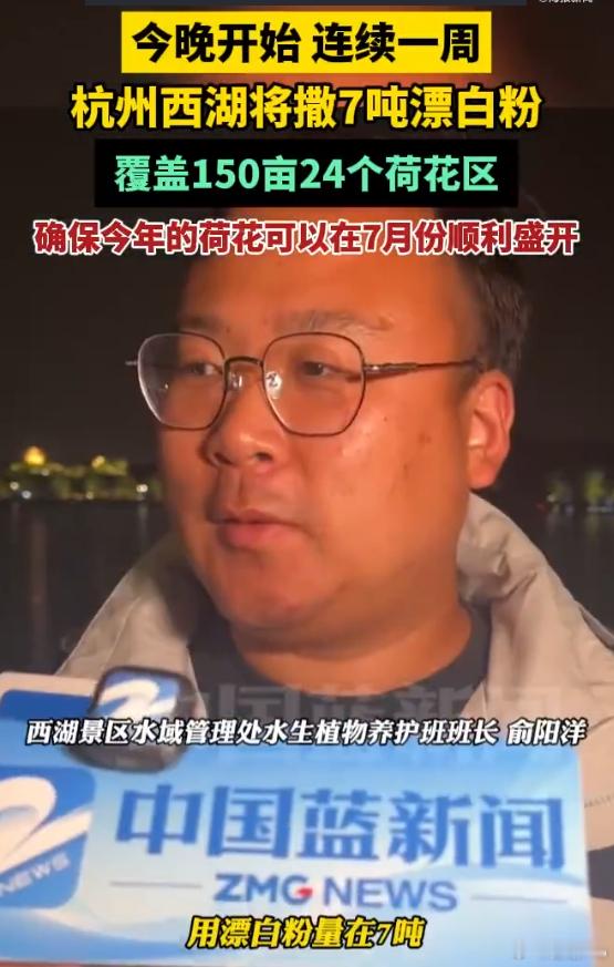 杭州西湖将连续一周撒7吨漂白粉 西湖还算是自然水域吗   这哪里是保护生态，分明