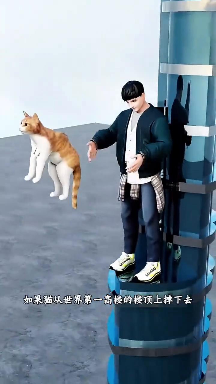如果猫从最高楼上掉下去会发生什么？
如果猫从世界第一高楼的楼顶上掉下去，落地后还