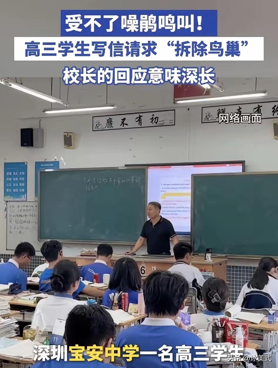 近日，深圳宝安中学一名高三的学生，因为忍受不了校园里的噪鹃整天的长啼鸣叫而写信给