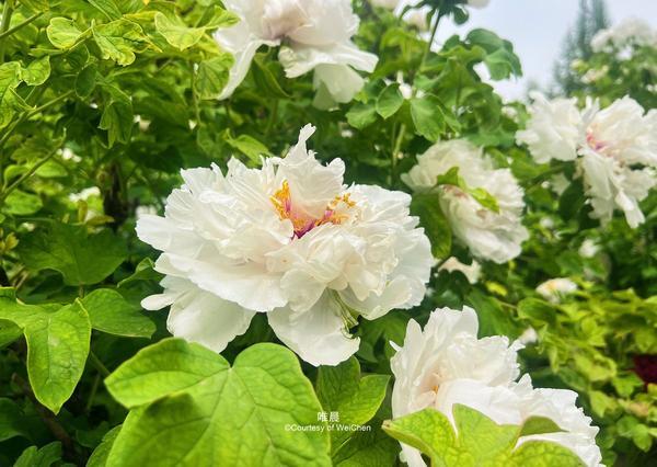 半生操劳才懂：人生最后能依靠的，从来只有自己
 
近期一篇关于人生终极陪伴的文章