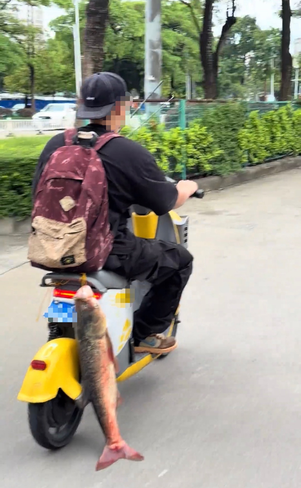 【玉林男子疑钓到一条大鱼挂在共享电车炫耀】6月30日，网友分享：玉林市街头一名男