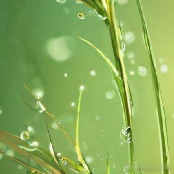 阳光信用‎阳光‎信用 ‎每日一善 每一分收获，都来自你坚持不懈的努力；每一分汗水