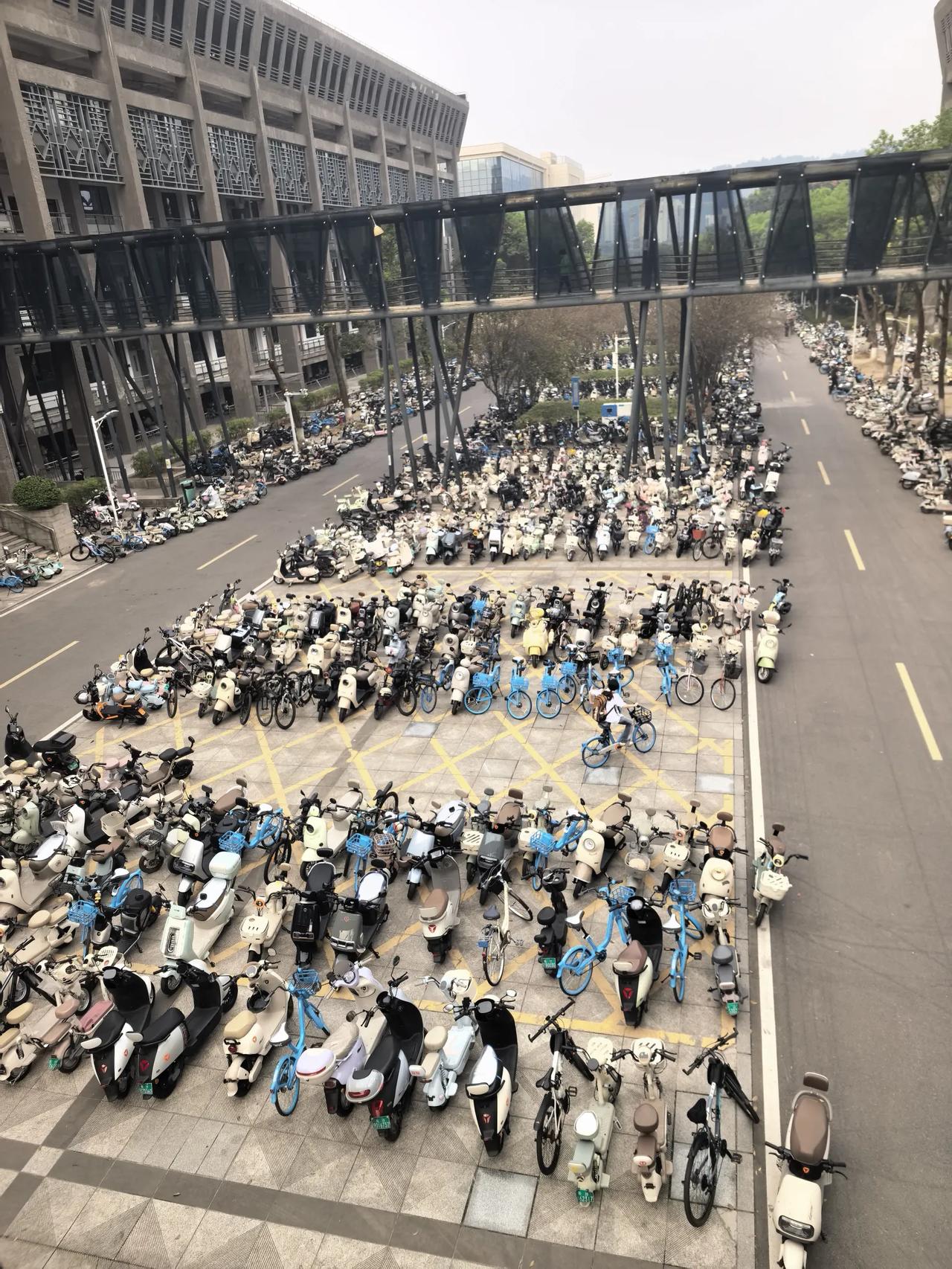 中南大学校园里几乎就是电动车的海洋。这大约也是所有中国高校校园的时代性风景线。
