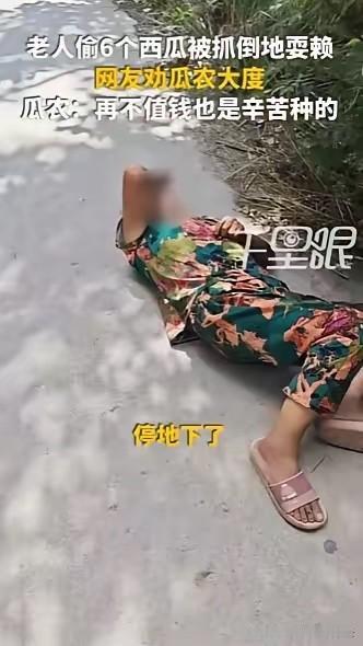 “河南周口，一老人骑车偷了6个西瓜被瓜农当场抓获，瓜农称‘再不值钱也是辛苦种的’
