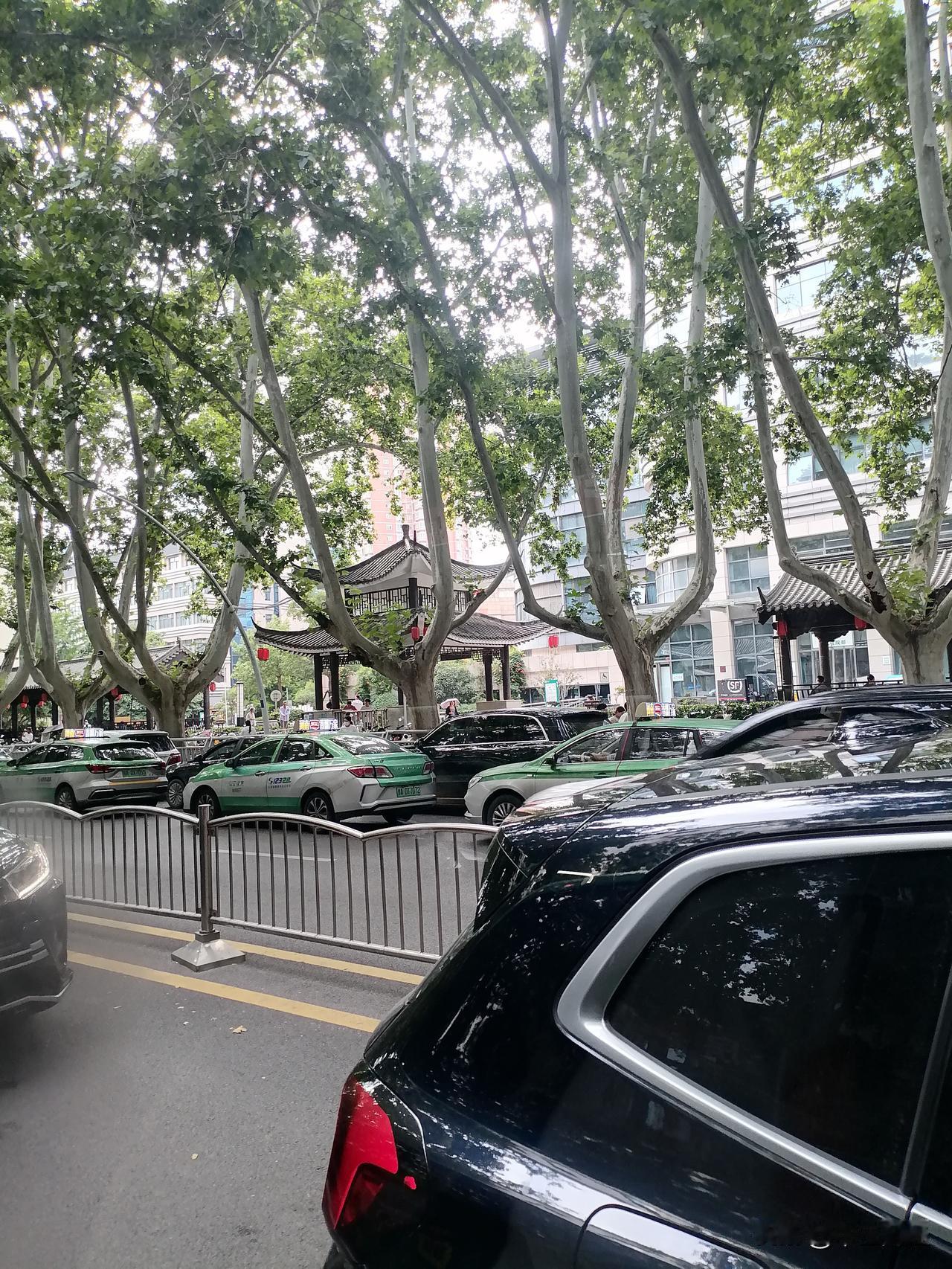 晒图笔记大赛郑州的这条街道，梧桐树非常的高大，一到夏天郁郁葱葱，遮阳蔽日。