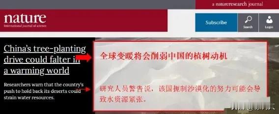 美国环保专家：沙漠种树弊大于利，中国不懂还自称环保大国。