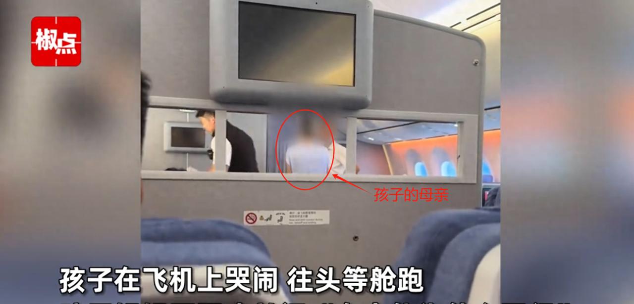 近日，一架从重庆起飞的航班遭遇“起飞难”，原因竟是一名带着孩子的母亲与乘务人员激