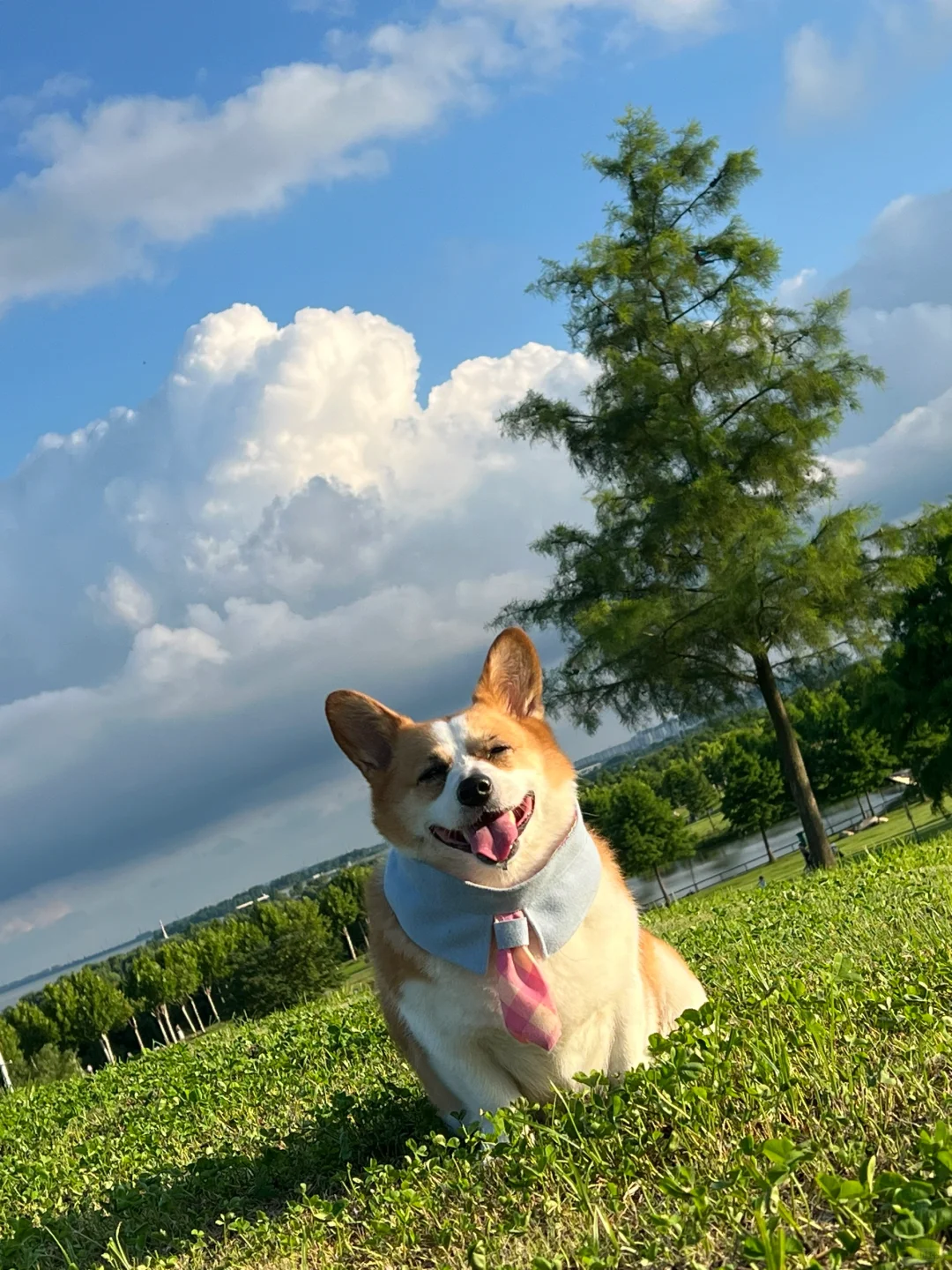 雨后的云☁️像PS