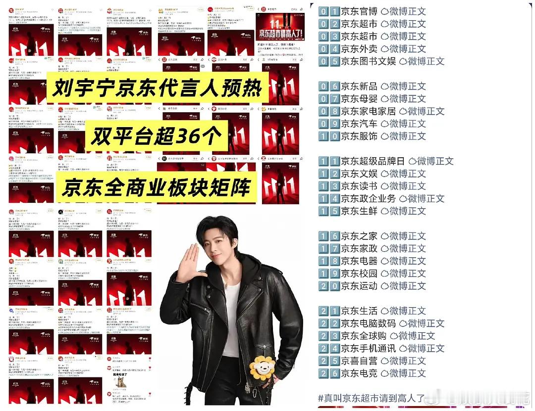 刘宇宁这次京东待遇也太好了！唯一双平台36个官号全线预热代言人，全线官宣，并且a