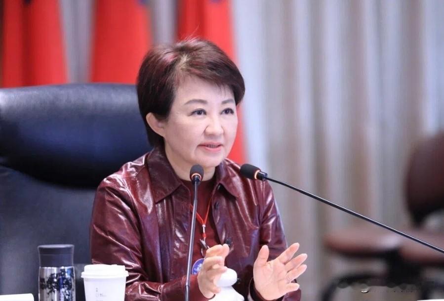 卢秀燕又在打算盘了！卢秀燕似乎有意跟郑丽文在别苗头！中国国民党副主席萧旭岑率团访