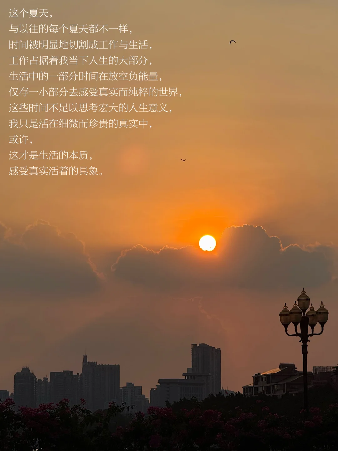 我经由无数个具象的夜晚治愈自己。